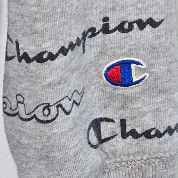 Champion Boys Size Large Hoodie. Gray In Color - Picture 3 of 5